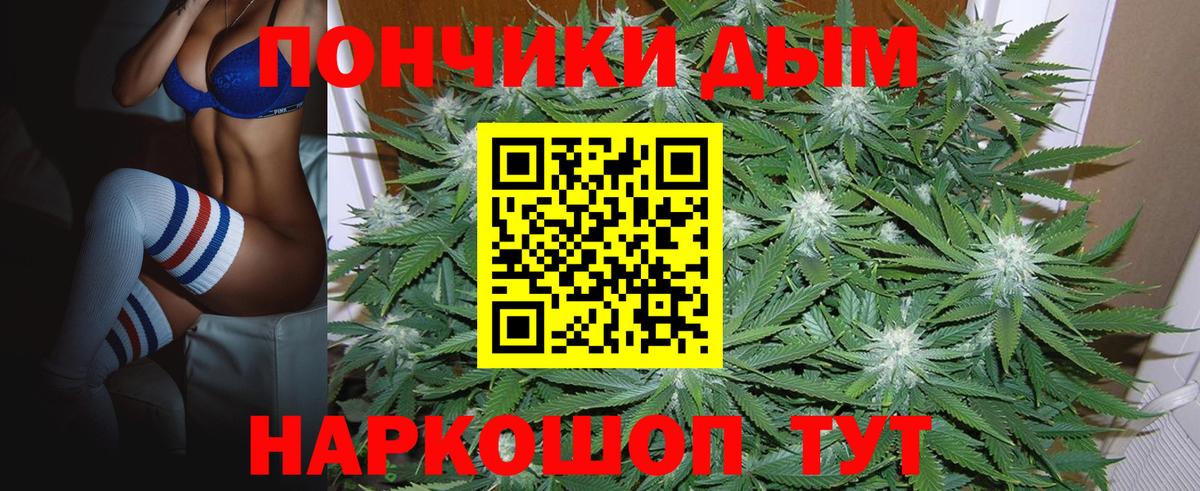 Каннабис гибрид  Вход с VPN  Марихуана планчик  МАРИХУАНА тримм  Алатырь 